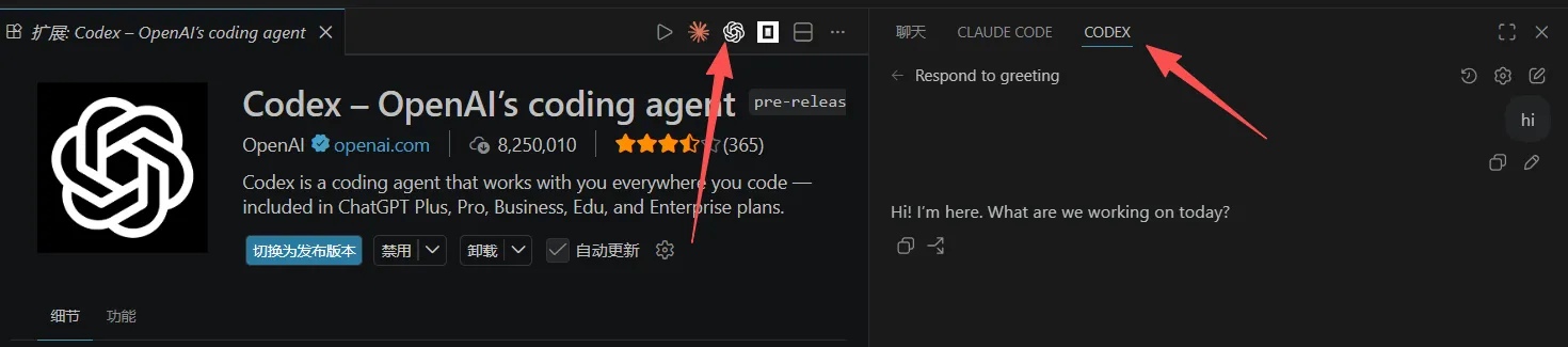 Codex 安装使用教程 - AigoKey